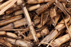 Quali sono i vantaggi dell’utilizzo di impianti di riscaldamento a biomassa?
